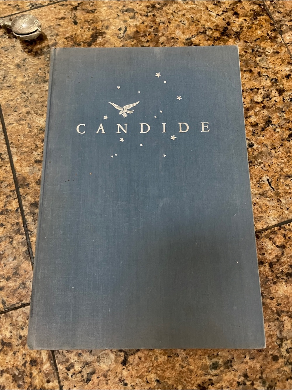 Candide book